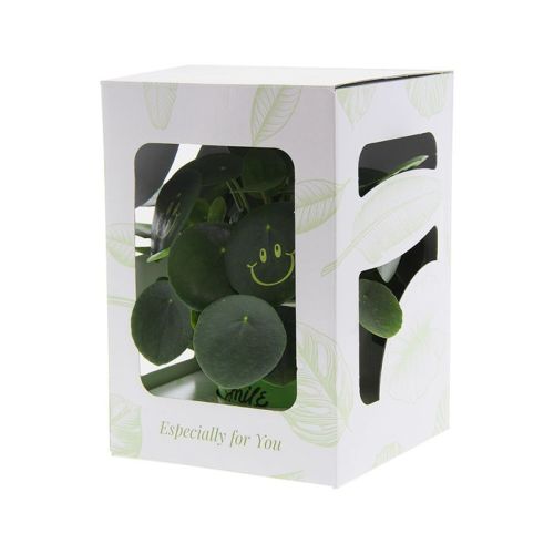 Stor Smylieplante - Billede 3